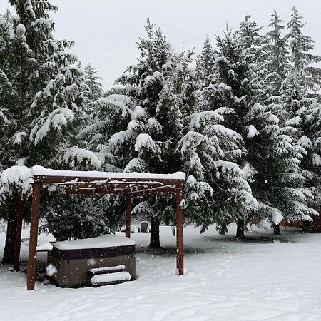 Villa Bear'S Den Hideaway With Hot Tub Ashford Esterno foto