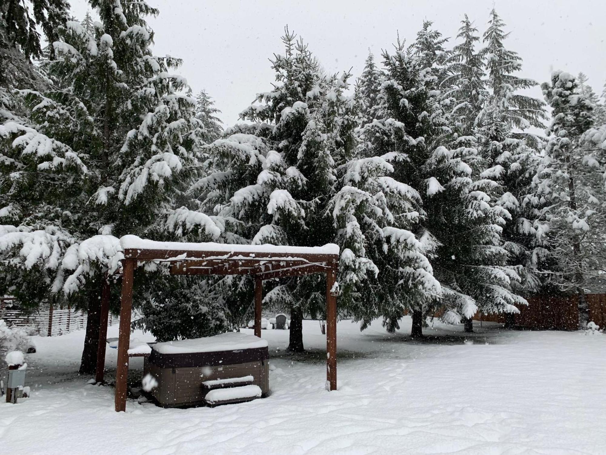Villa Bear'S Den Hideaway With Hot Tub Ashford Esterno foto