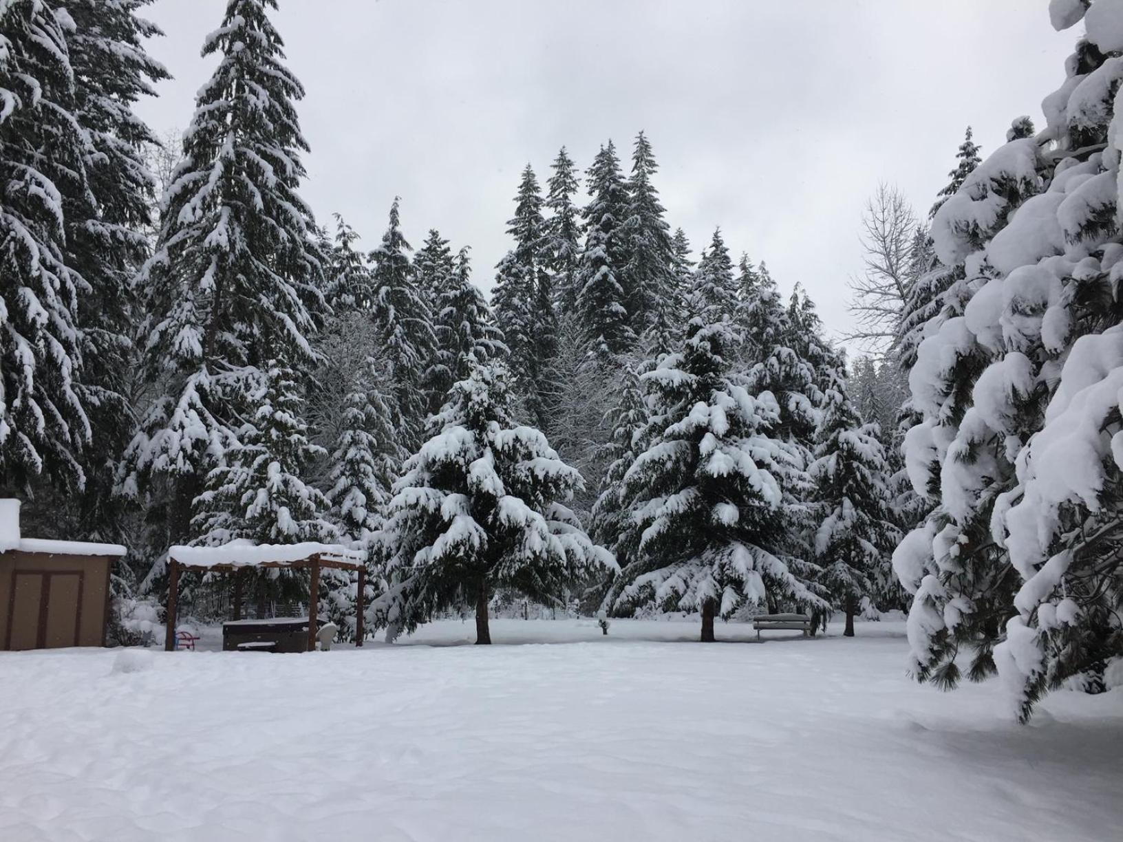 Villa Bear'S Den Hideaway With Hot Tub Ashford Esterno foto