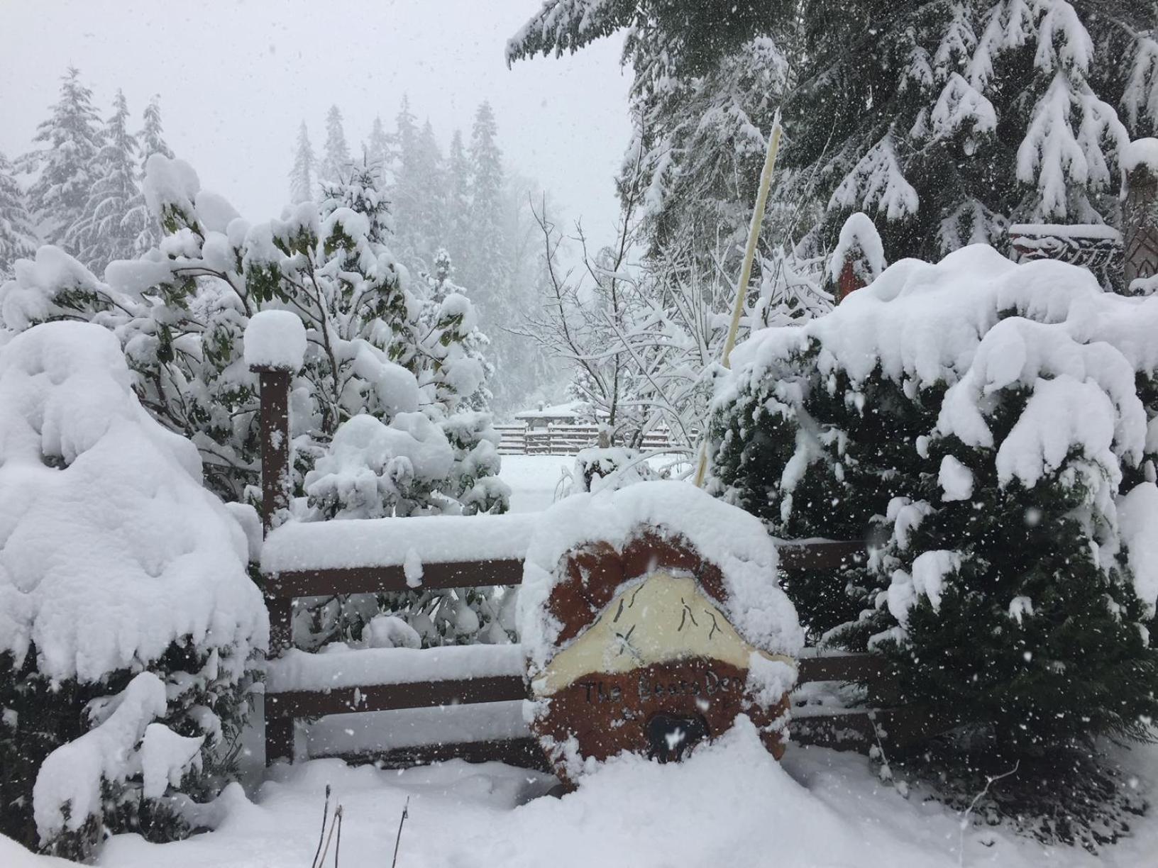 Villa Bear'S Den Hideaway With Hot Tub Ashford Esterno foto