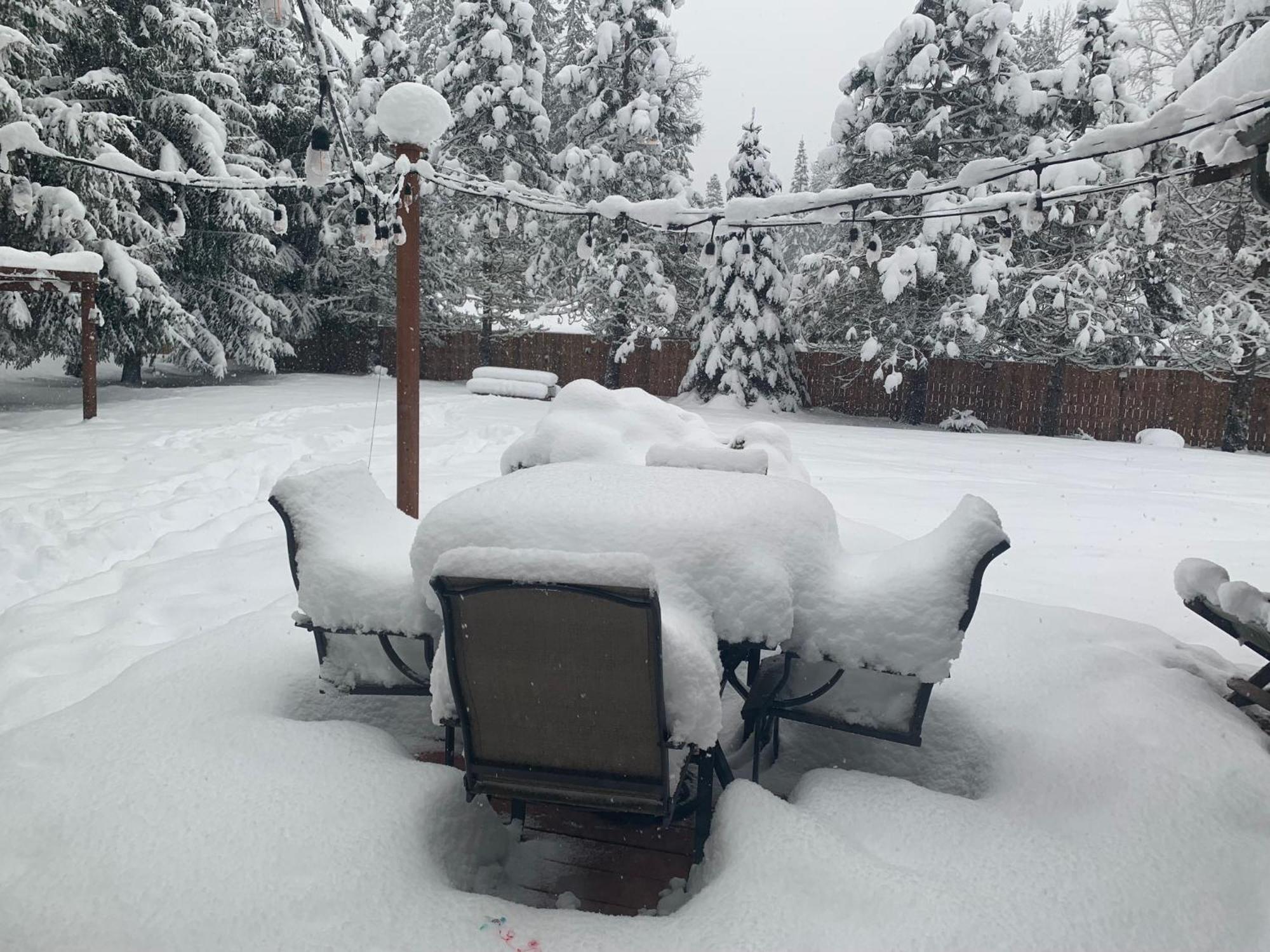 Villa Bear'S Den Hideaway With Hot Tub Ashford Esterno foto