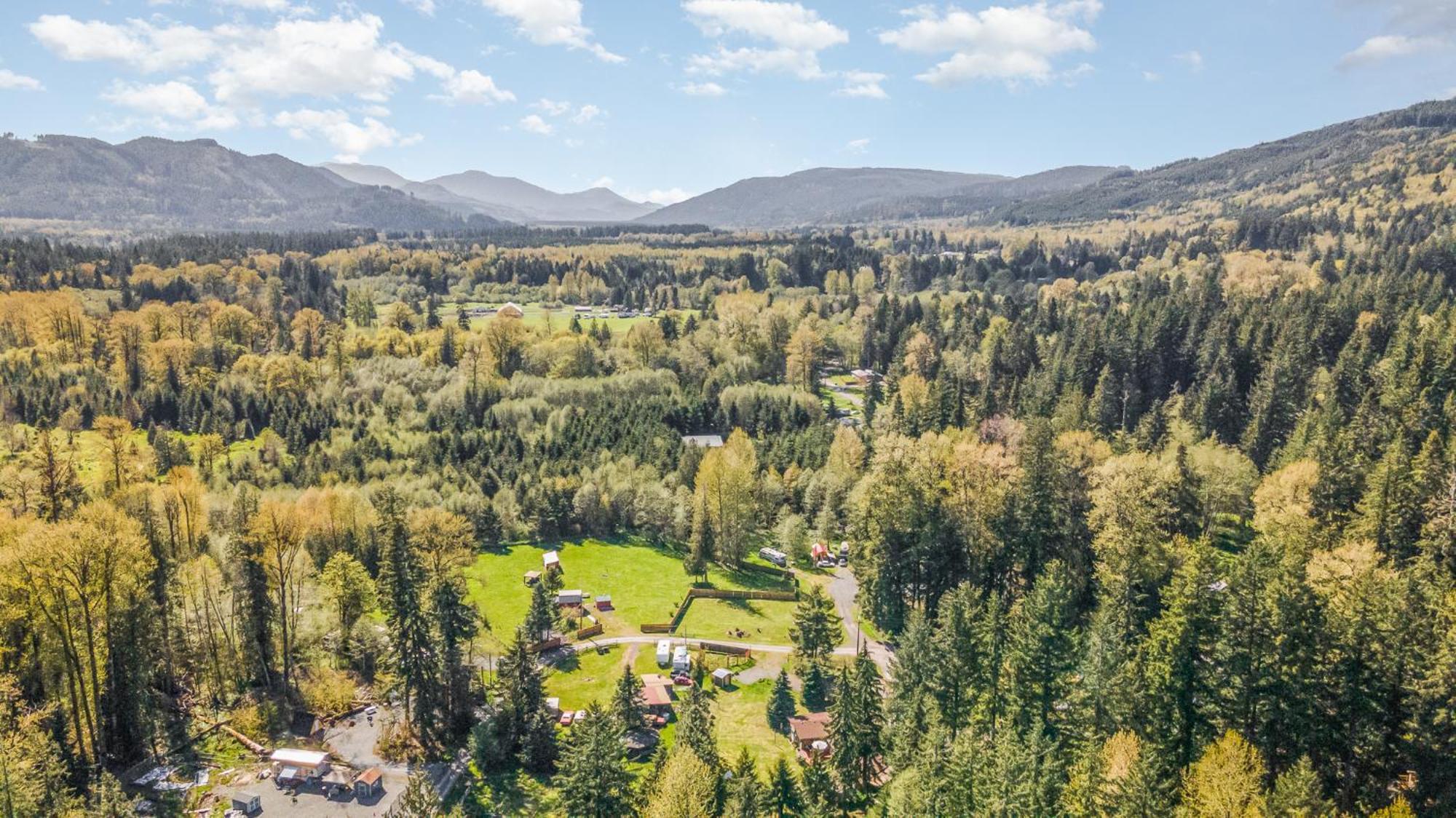 Villa Bear'S Den Hideaway With Hot Tub Ashford Esterno foto